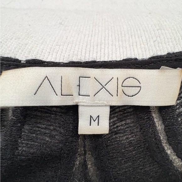 Alexis Black Sheer Lace Blouse - Picture 4 of 4